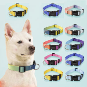 Nylon Pet Collar Traction Rope Set