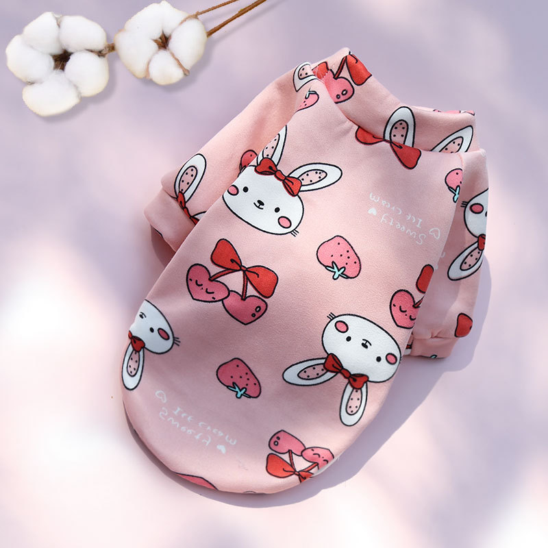 Printed Cartoon Pet Clothes Plus Velvet Two-legged Sweater - Image 8